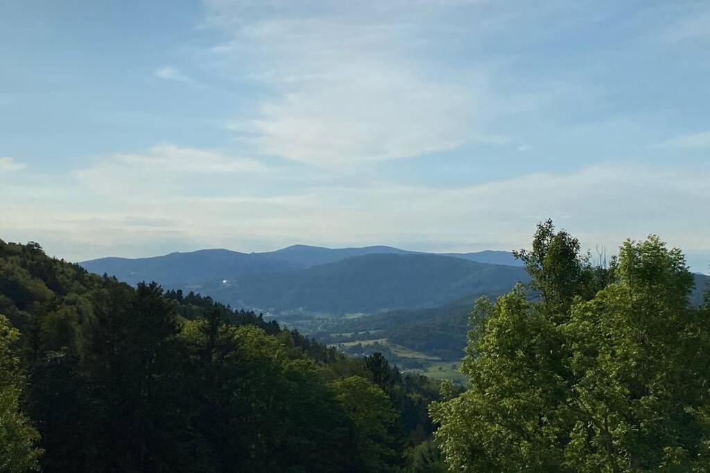 Urig / Mitten Im Bayerischen Wald + Schonblick + Netflix Schöfweg Exterior foto